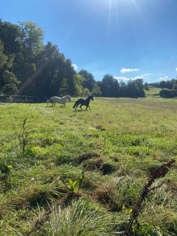 Chez Sophie -Chambres D'Hotes, Gite Et Gite Equestre Clermont-Dessous Exteriör bild